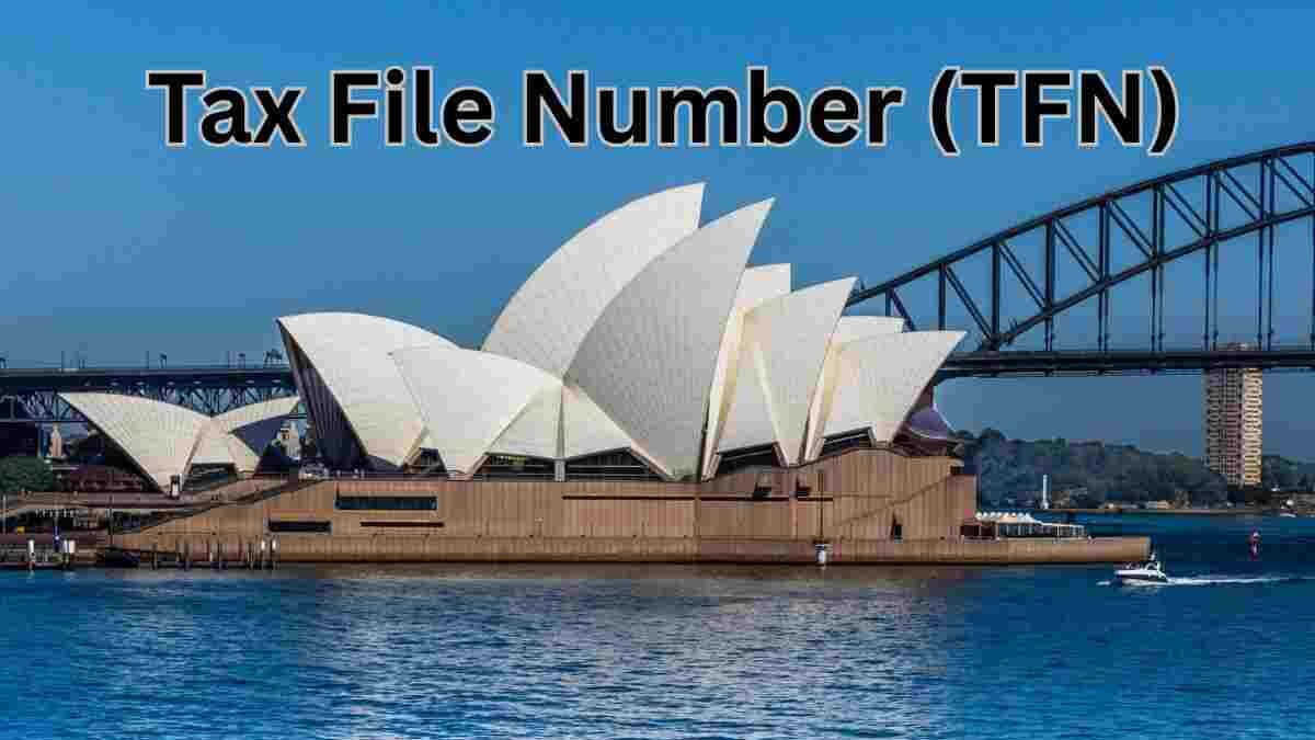 How to Get a Tax File Number